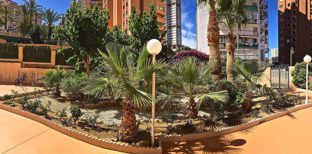 Residence Vacanza Torre Monaco 貝尼多姆 外观 照片